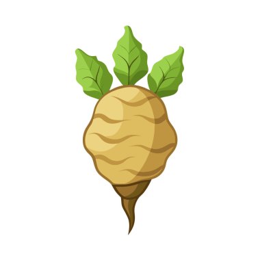 Taze sarımsak bitkisi simgesi