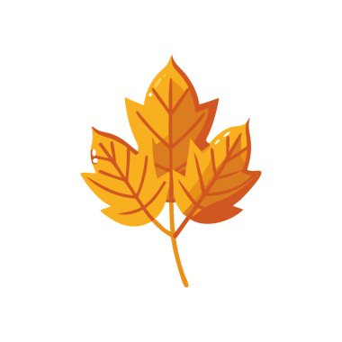 Akçaağaç sonbahar doğa simgesini terk eder