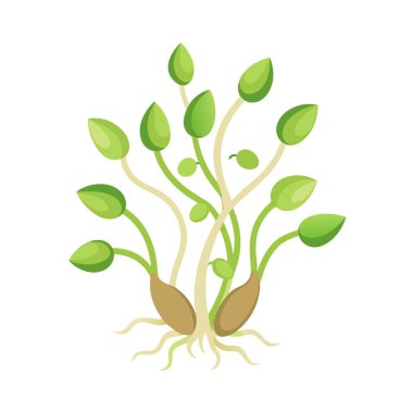 Beyaz arkaplanda taze yeşil yapraklar