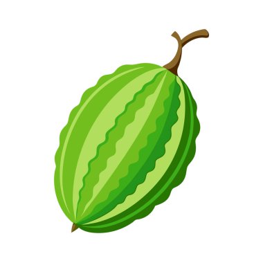 yeşil yaprak, illüstrasyon, beyaz arkaplan üzerindeki vektör.