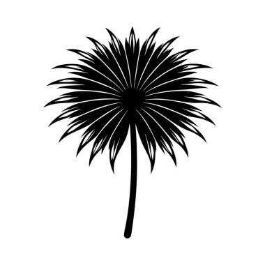 Tropik palmiye ağacı ikonu. siyah ve beyaz resimleme.