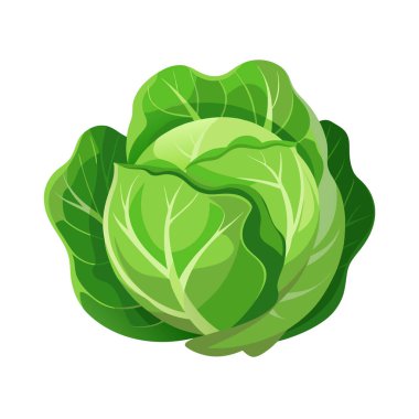 Beyaz üzerine taze lahana