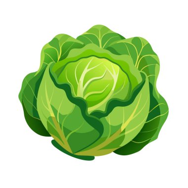 beyaz arkaplan resimlerinde yeşil sebze