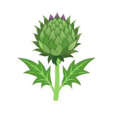 beyaz arkaplanda yeşil bitki