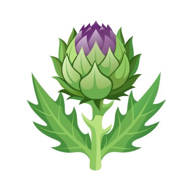 Yeşil bitki vektör illüstrasyonlu izole renkli bir çiçek