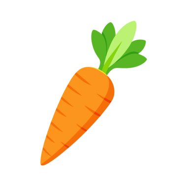 Havucun vektör çizimi