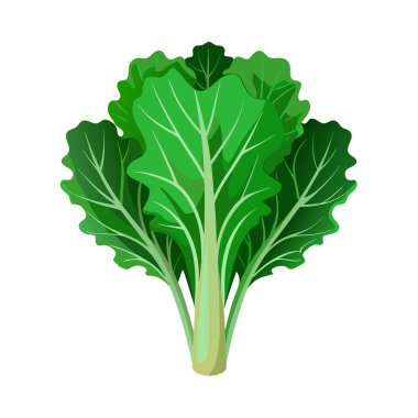 Yaprak çizimi ile taze yeşil sebze