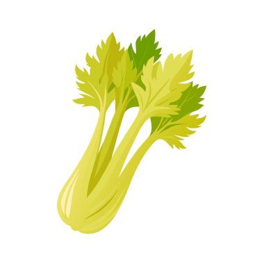 Demet taze kereviz beyaz arka plan üzerinde izole.