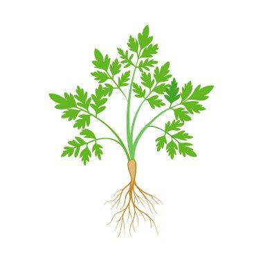 Yapraklı yeşil bitki.