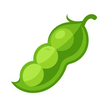 izole edilmiş yeşil biber ikonu. vektör çizimi tasarımı