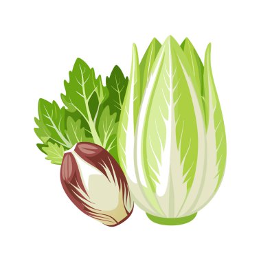 yeşil yapraklı ve sebzeli lahana