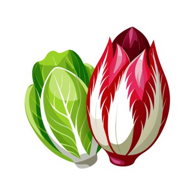 Kırmızı ve pembe lalelerin vektör kümesi