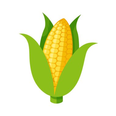 mısır izole vektör illüstrasyonu.