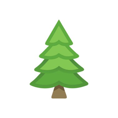 çam ağacı simgesi vektörü beyaz arkaplanda izole edildi, ağaç işareti