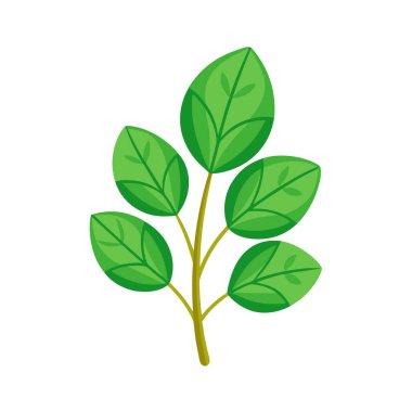 izole yapraklar bitki tasarımı