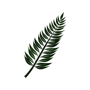 Yaprak bitkisi tasarımı, doğa ve organik bitki temalı vektör illüstrasyonu