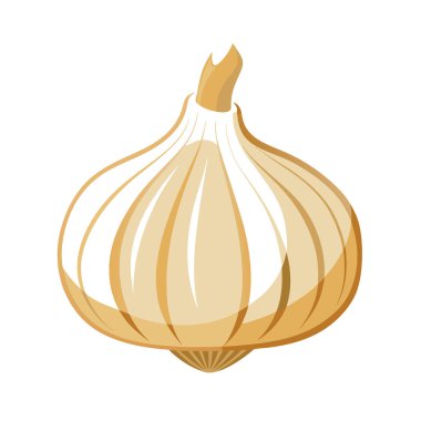 Beyaz arkaplanda taze soğan