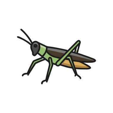 Çizgi film Dragonfly 'ın Vektör İllüstrasyonu