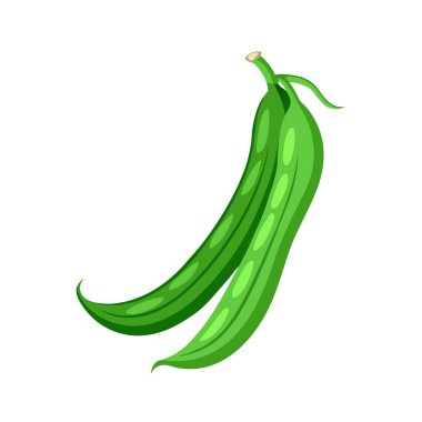 Yeşil biber vektörü