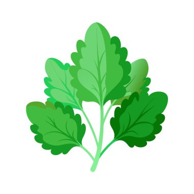 izole edilmiş yaprak tasarımı