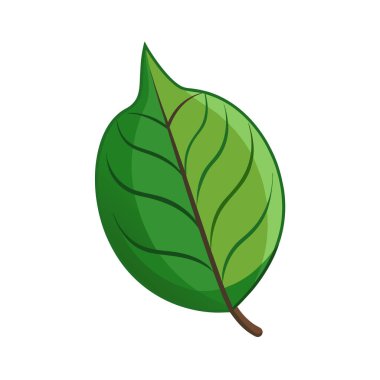 Beyaz arka plan üzerinde yaprak şeffaf işareti izole simge vektör yaprak