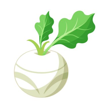 Yeşil bir elmanın vektör çizimi