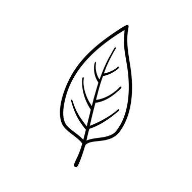 Beyaz üzerinde yaprak vektör simgesi