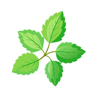 Beyaz arkaplanda yeşil yapraklar, vektör illüstrasyonu