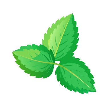 beyaz arkaplanda yeşil yapraklar.