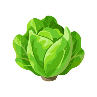 Beyaz arka planda yeşil lahana