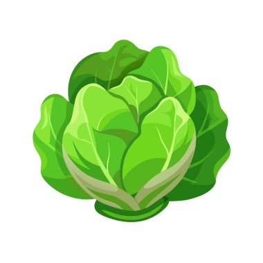 taze yeşil lahana simgesi vektör çizimi