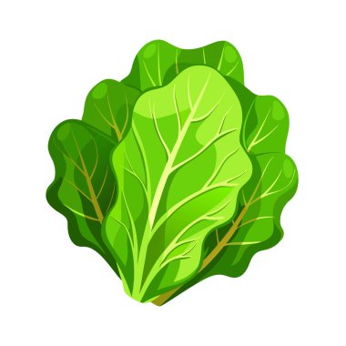 kabak vektör simgesi beyaz arkaplanda izole edildi