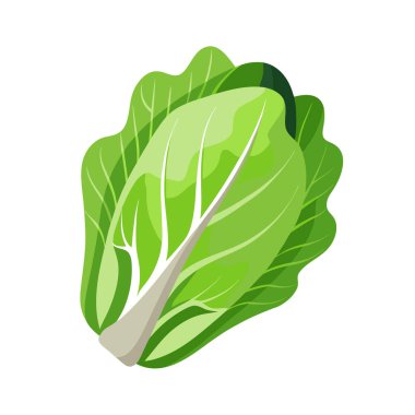 Marullu taze yeşil yaprak.