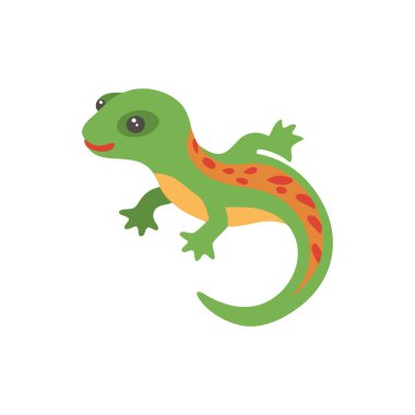 Beyaz arka planda şirin bir kurbağa.