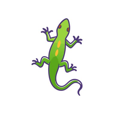 Kertenkele vektör illüstrasyonu