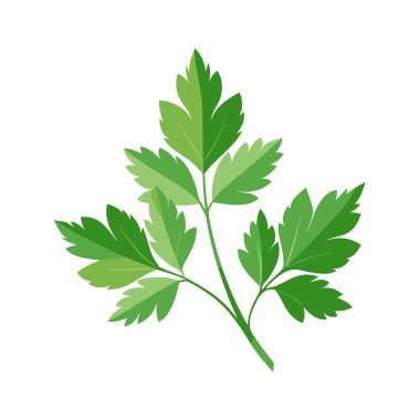 yeşil bitki yaprağı izole edilmiş simge