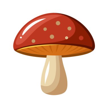 Kırmızı mantar, vektör ikonu. karikatür vektör simgesi. Beyaz arka planda. Renkli mantar.