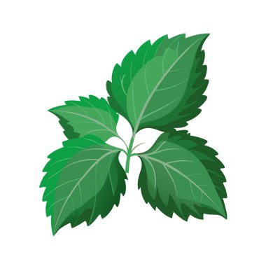 Yeşil yaprak simgesi, çizgi film tarzı