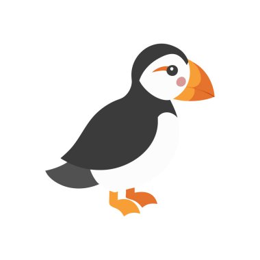 şirin penguen çizgi film vektör çizimi grafik tasarımı