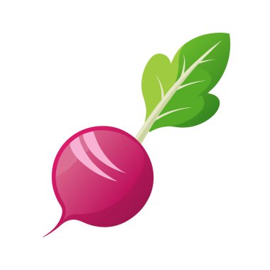 Arka planda izole edilmiş taze pancar sebzesi