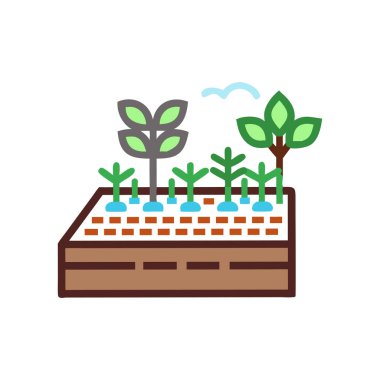 plant in the garden vector illustration icon design