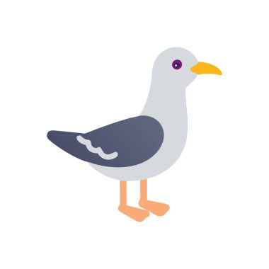 martı simgesi vektörü beyaz arkaplanda izole edildi, martı ağ işareti