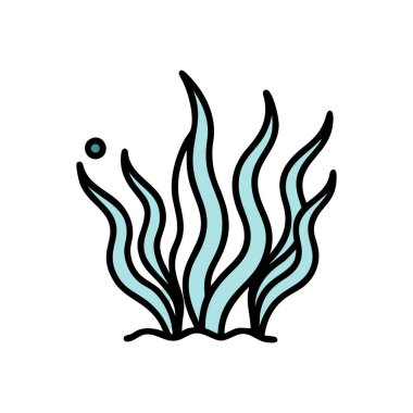 Deniz kestanesi ikonu vektörü. Deniz kestanesi işareti. İnce çizgi sembolü çizimi