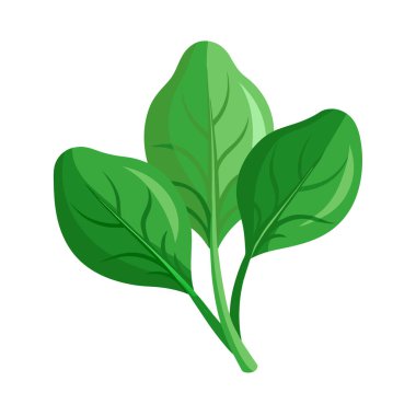 vektör düz simge, yeşil bitkili yaprak beyaz üzerinde izole.