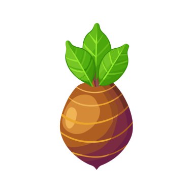 Hindistan cevizi meyvesi ikonu, çizgi film tarzı