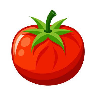 Taze domates, illüstrasyon, beyaz arka plan vektör.