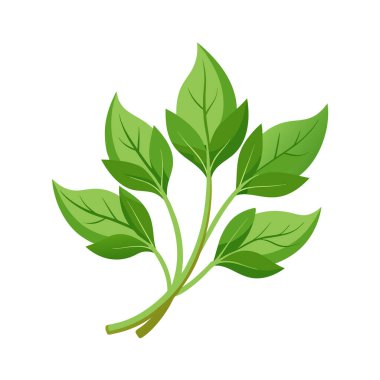 Yeşil yapraklar ve dallar tasarımı, doğal organik bitki bahçesi dekorasyonu ve botanik temalı çizim