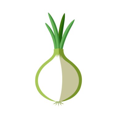 Soğan ikonu. Web tasarımı için sarımsak vektör simgesinin düz çizimi