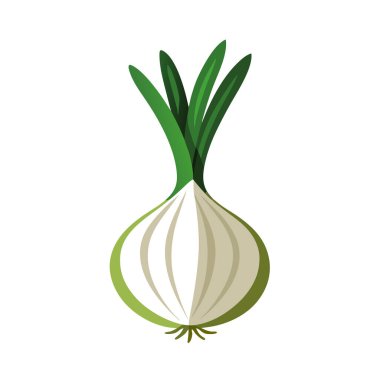 taze soğan sebze izole simgesi