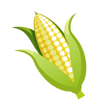 Mısır vektör simgesi. Beyaz arkaplanda izole edilmiş vektör illüstrasyonu